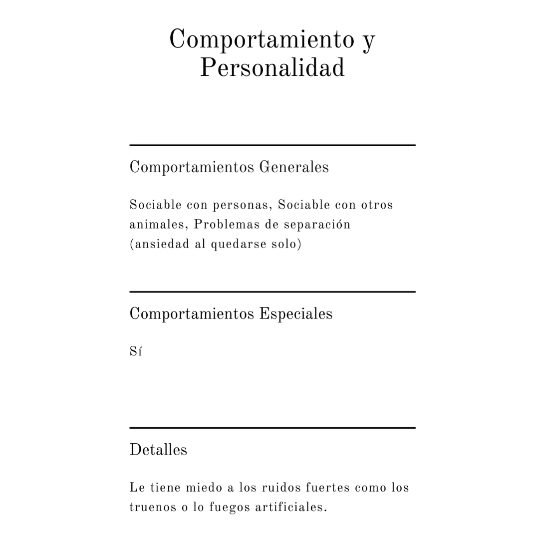 Pack Básico - Imagen 11