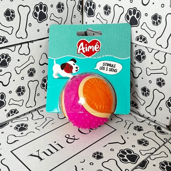 Pack Paseo - Imagen 2
