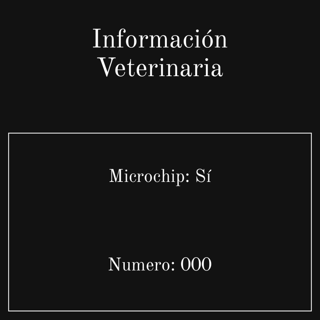 Pack Básico - Imagen 8