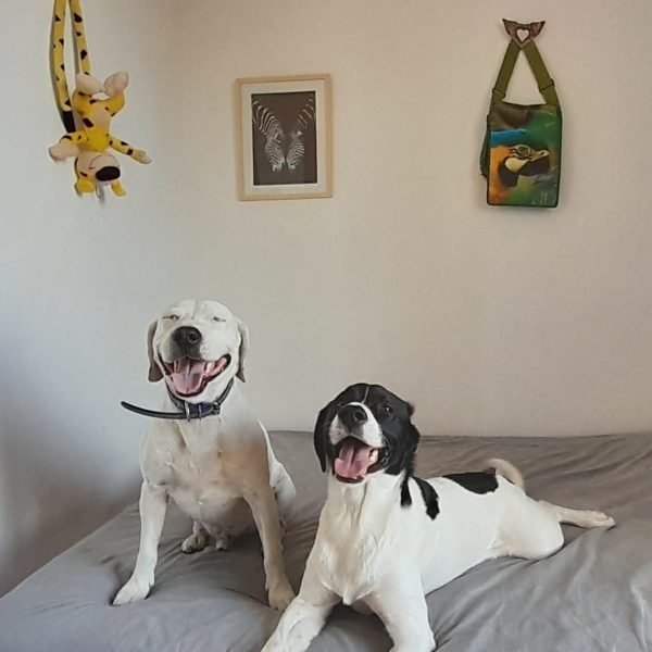 La Mejor Foto Del Mundo